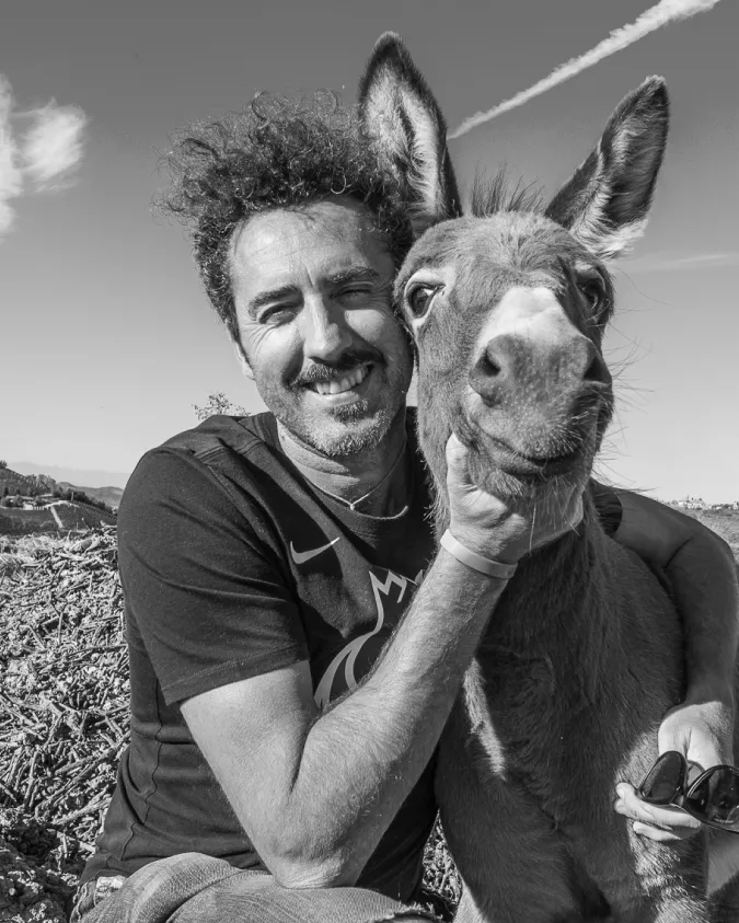 Энрико Риветто Энрико Риветто