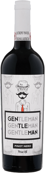 Gentleman Oltrepo Pavese DOC Ferro 13, 0.75 л в Тюмени